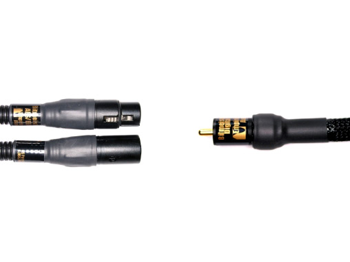 Digital Interconnects